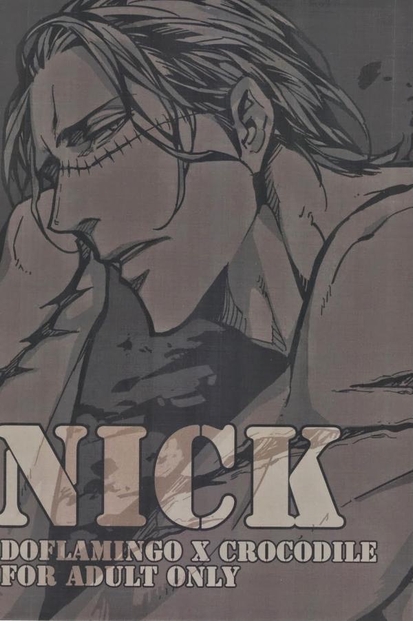 Nick (One piece dj's)